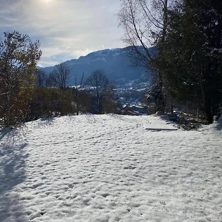 Etzl Apartment Kitzbuhel